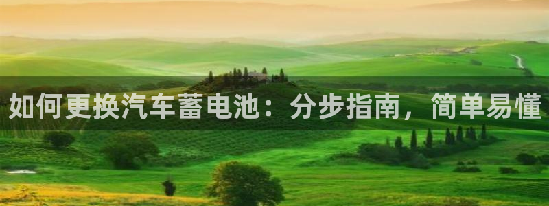 优发国际合并到哪里了最新消息