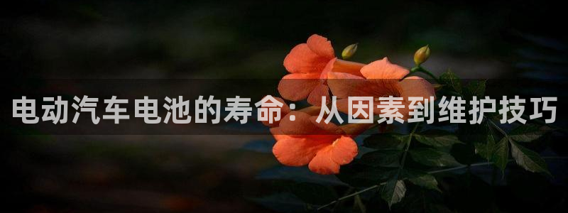 优发国际亚洲平台