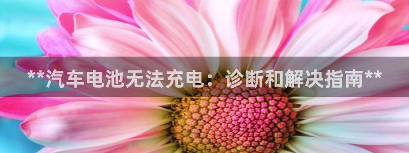 优发国际是大平台吗还是小平