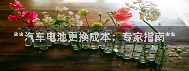 优发国际电话