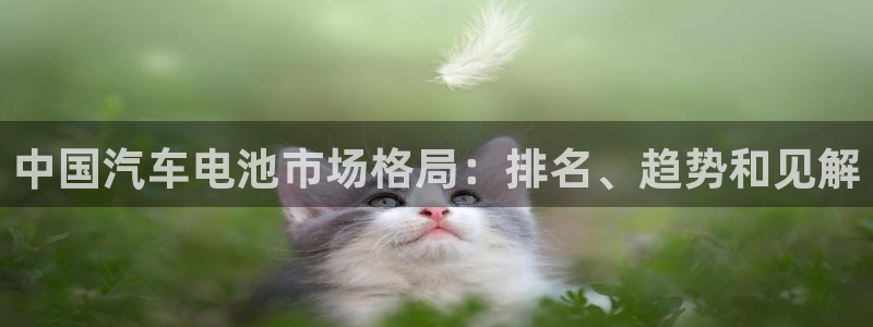 优发国际平台u8怎么样