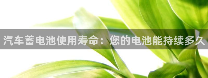 优发国际官网下载安装app