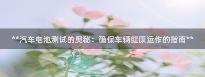 优发国际这个平台怎么样啊