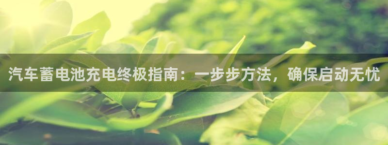 优发国际手机客户端下载安装