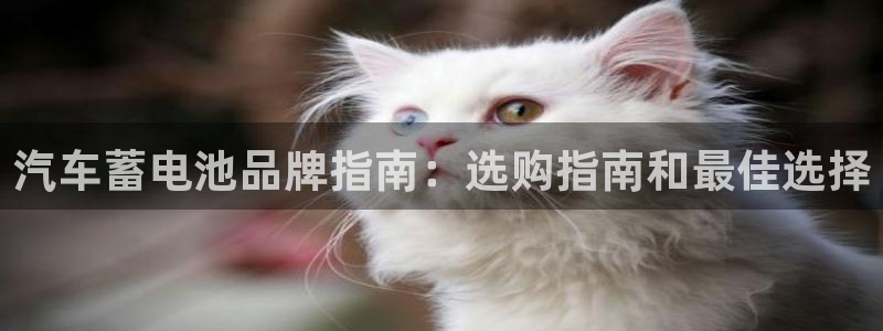 优发国际app官网下载安装苹果手机