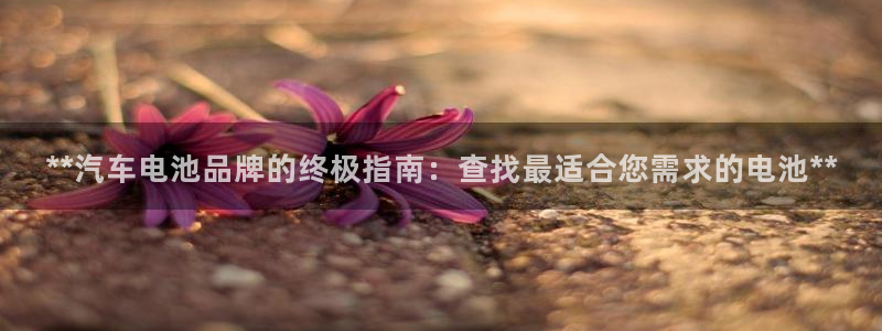优发国际软件下载官网