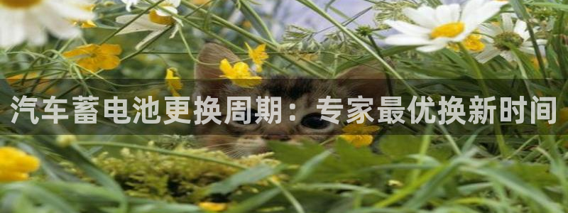 优发国际手机版客户端官网