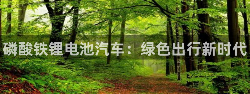 优发国际手机版网站入口