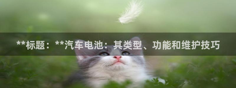 优发国际一首页