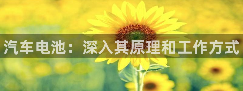 优发国际软件下载官网