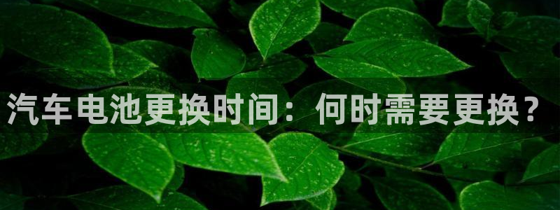优发国际app