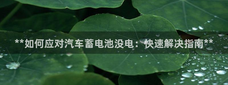 优发国际平台APP
