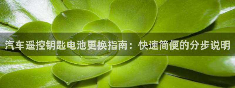优发国际手机版下载安装