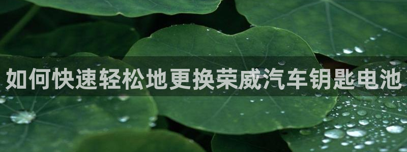 优发国际下载安装app