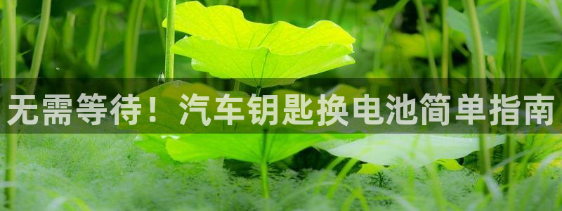 优发国际网页