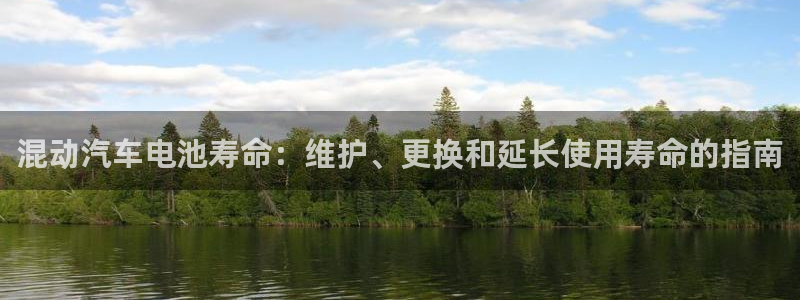 优发国际的官网是