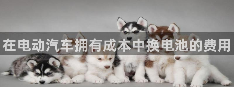 优发国际安卓版下载安装教程