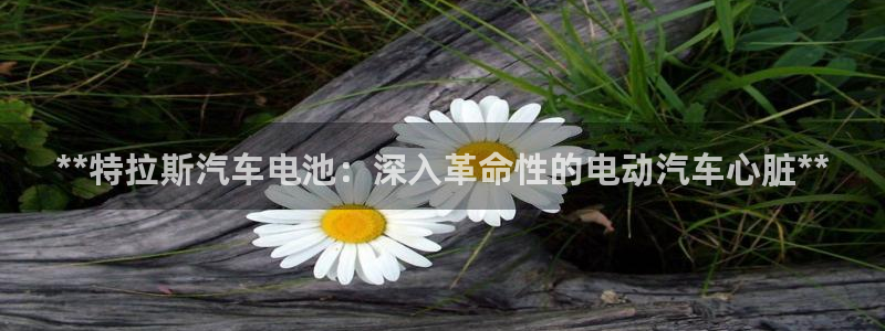 优发国际官方网平台是正品吗