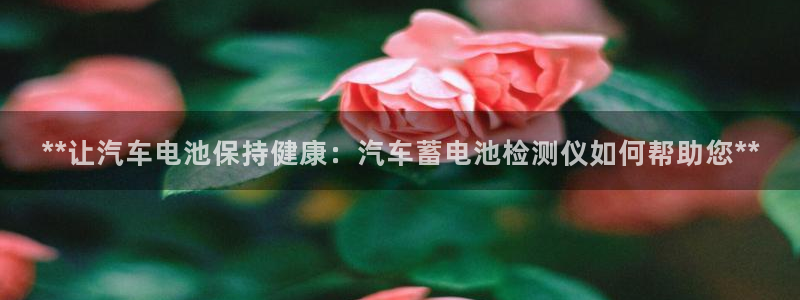 优发国际手机app下载安装官网