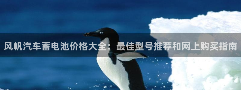 优发国际官网是多少号码