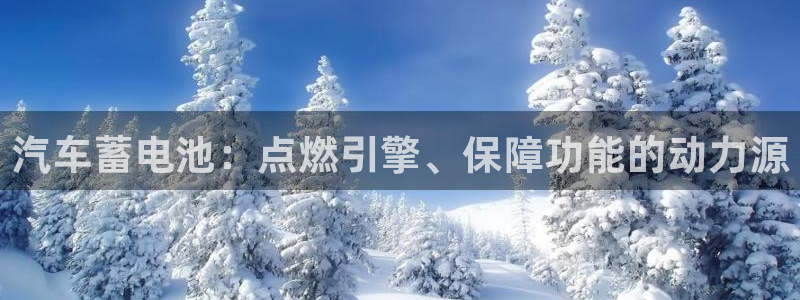 优发国际手机客户端下载安卓