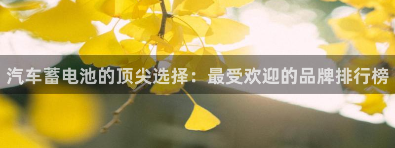 优发国际手机版客户端下载