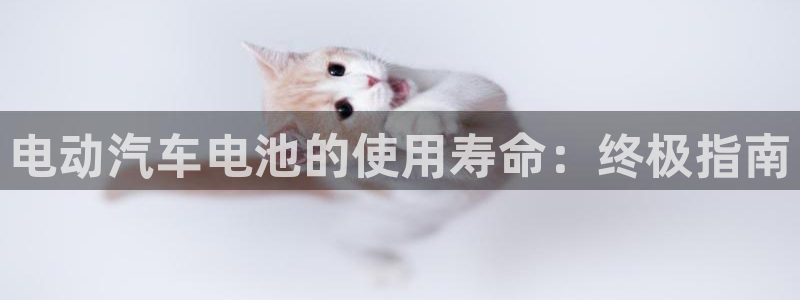 优发国际手机版网站