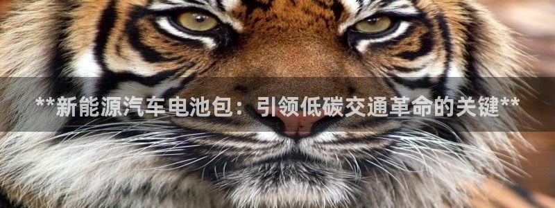 优发国际平台g8怎么样