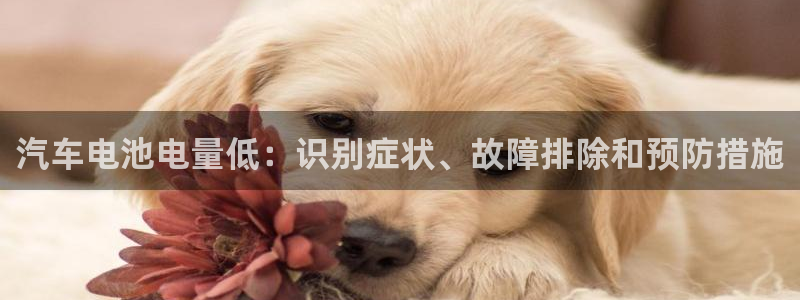 优发国际官网是多少