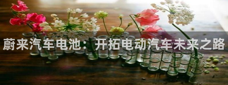 优发国际平台g8怎么样