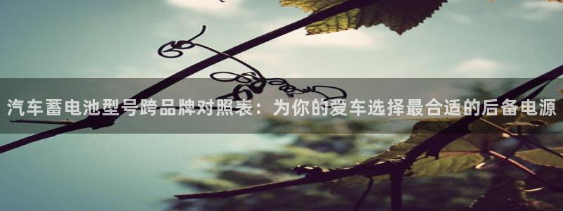 优发国际首页app