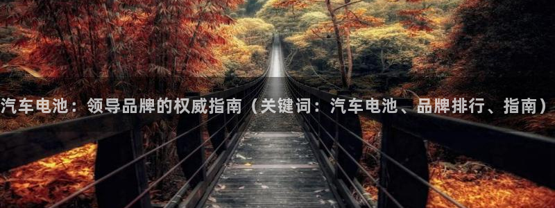 优发国际手机版客户端下载安装