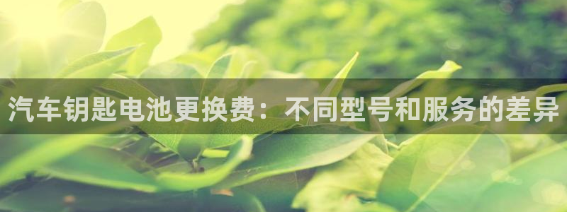 优发国际平台app下载官网