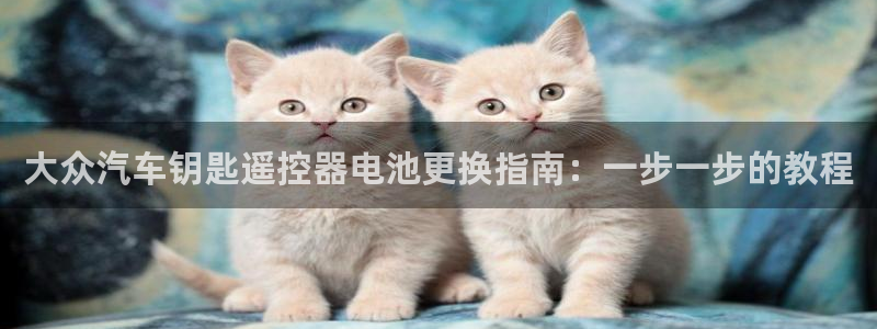 优发国际vip网址