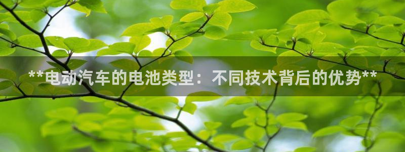 优发国际游戏