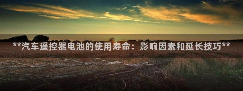 优发国际的网站是