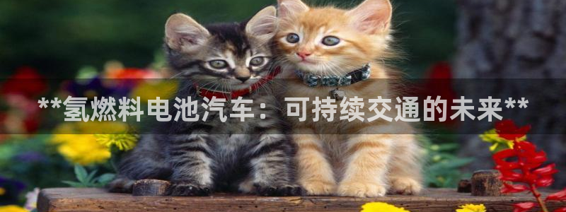 优发国际手机版下载安装