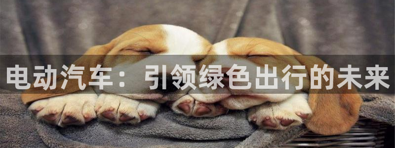 优发国际软件下载官网