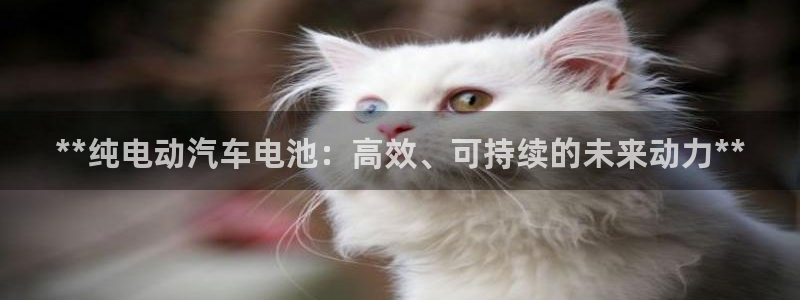 优发国际VIP网址