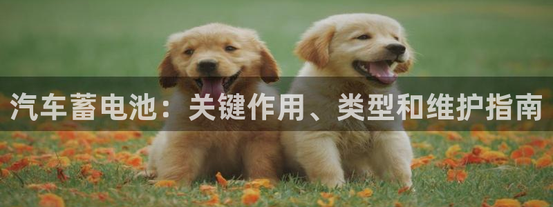优发国际提现不了