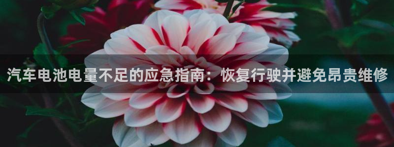 优发国际网页