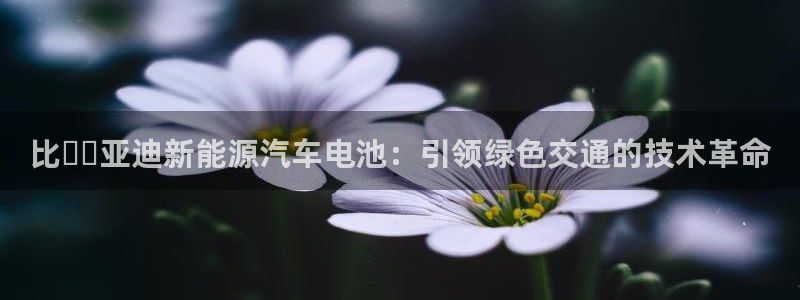 优发国际平台u8是什么公司