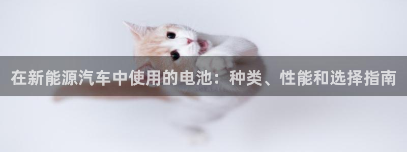 优发国际官网手机版下载安卓