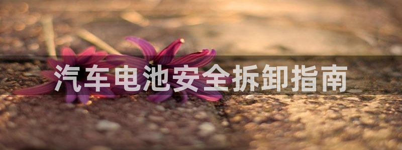 优发国际客服联系方式是什么