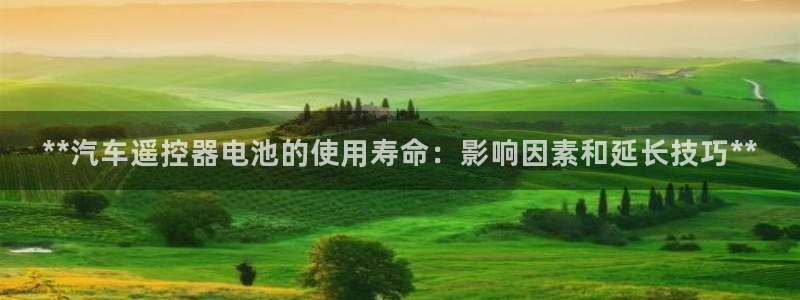 优发国际平台u8是什么公司