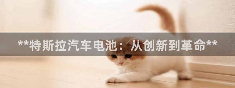 优发国际首页官网