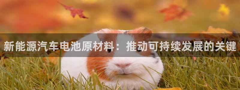 优发国际手机客户端怎么下载