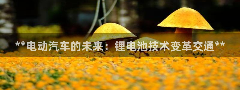 优发国际是大平台吗是真的吗