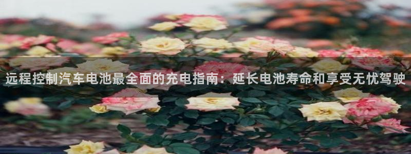 优发国际提现不了