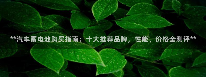 优发国际官网入口app下载